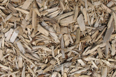 biomass boilers Ryal
