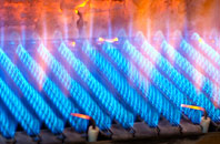 Ryal gas fired boilers